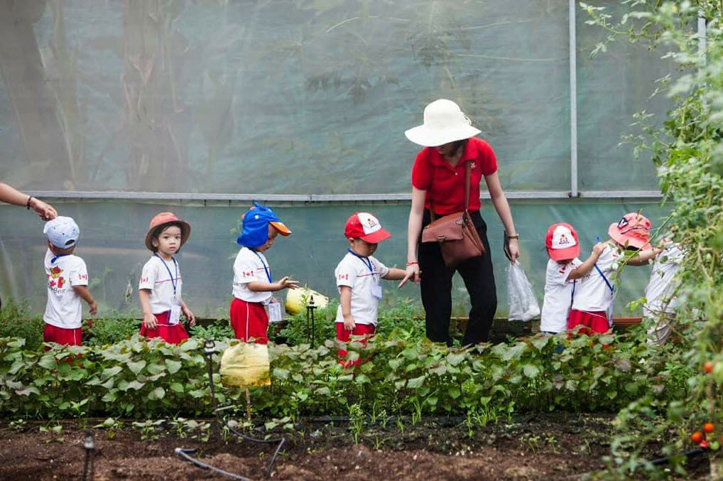 Các nông trại giáo dục thực nghiệm tại tphcm